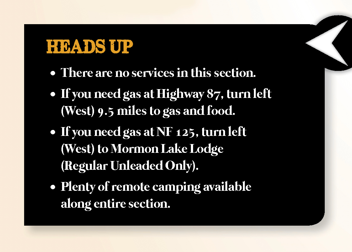 Northeast Backcountry Discovery Routes (NEBDR) BDR Series Map – Butler Maps